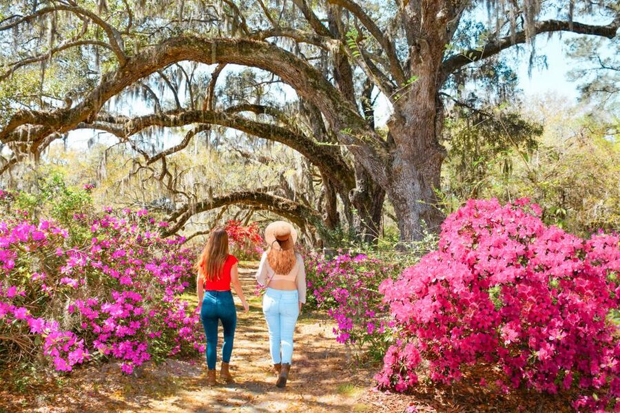 Charleston: Magnolia Plantation Entry & Tour with Transport - The gardens, cabins, and slavery-to-freedom history