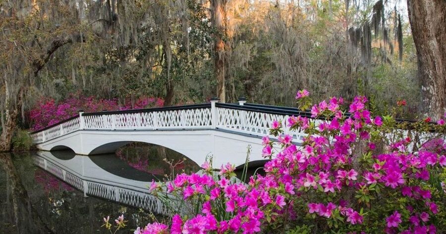 Charleston: Magnolia Plantation Entry & Tour with Transport - Is $90 a fair price?