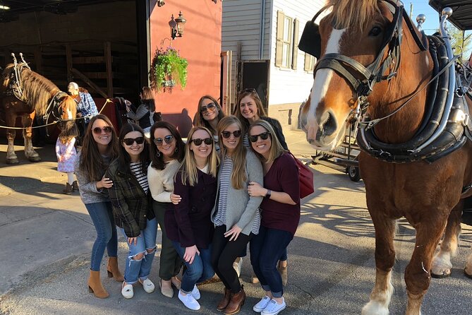 Charleston's Historic Residential Horse and Carriage Tour - Starting at 20 Anson Street