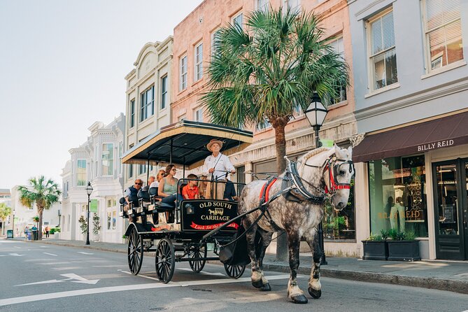 Charleston’s Old South Carriage Historic Horse & Carriage Tour - Mansions, piazzas, and gardens from the carriage