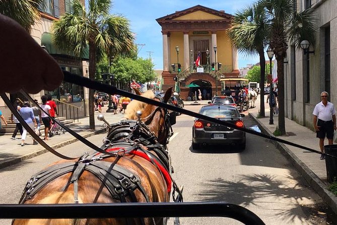 Charleston’s Old South Carriage Historic Horse & Carriage Tour - Guides who turn streets into stories