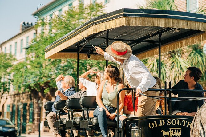 Charleston’s Old South Carriage Historic Horse & Carriage Tour - Who gets the most from this $50 ride