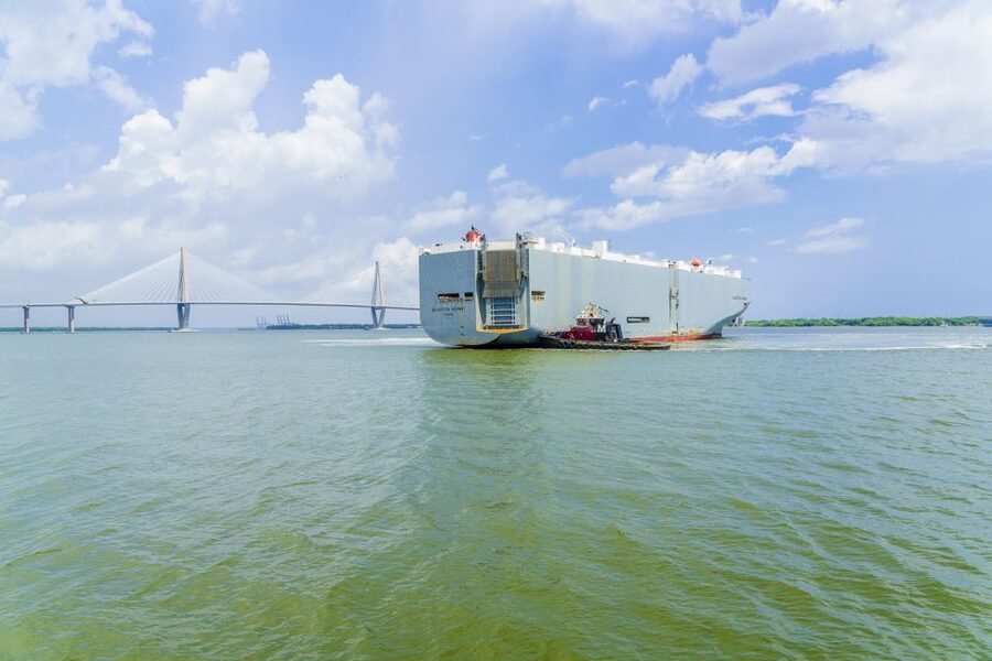 Charleston: Sightseeing Harbor Tour & Dolphin Watch - What the dolphin watch is really like