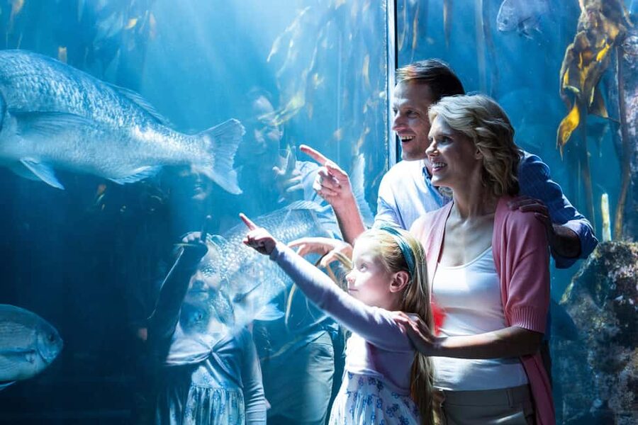 Chicago: 1-5 Day Attraction Pass with Shedd Aquarium - What the Chicago pass actually includes