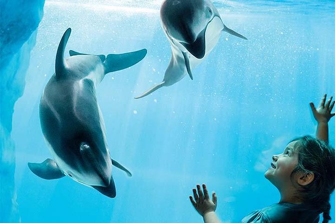 Chicago CityPASS® - The Field Museum rewards patient visitors