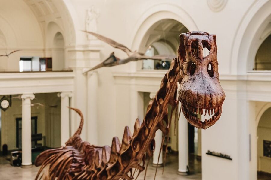 Chicago CityPASS®: Save up to 49% at 5 Top Attractions - Griffin Museum of Science and Industry