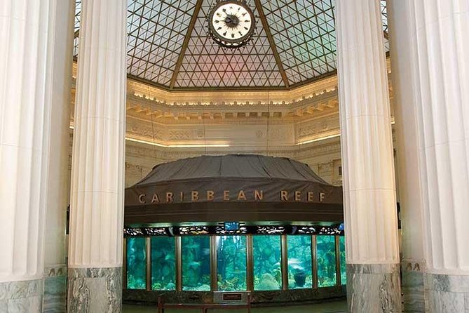 Chicago CityPASS® - Shedd Aquarium gives you a strong first day