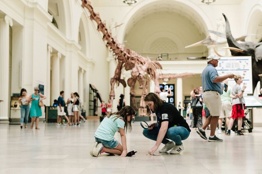 Chicago Explorer Pass: 2 to 7 Attractions including SkyDeck - Big Bus Chicago for a first look