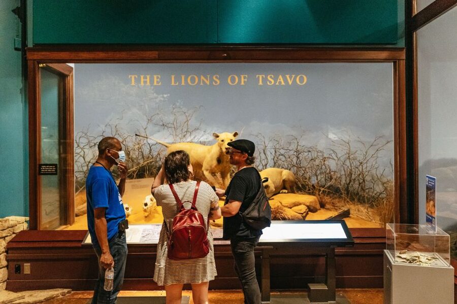 Chicago: Field Museum of Natural History Ticket or VIP Tour - Sue, Maximo, and the Field Museum’s biggest draws