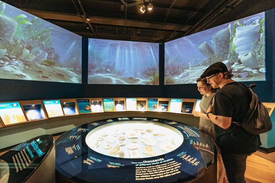 Chicago: Field Museum of Natural History Ticket or VIP Tour - Gems, jade, and the museum’s quieter rooms