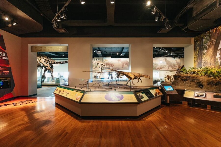 Chicago: Field Museum of Natural History Ticket or VIP Tour - How long should you stay?