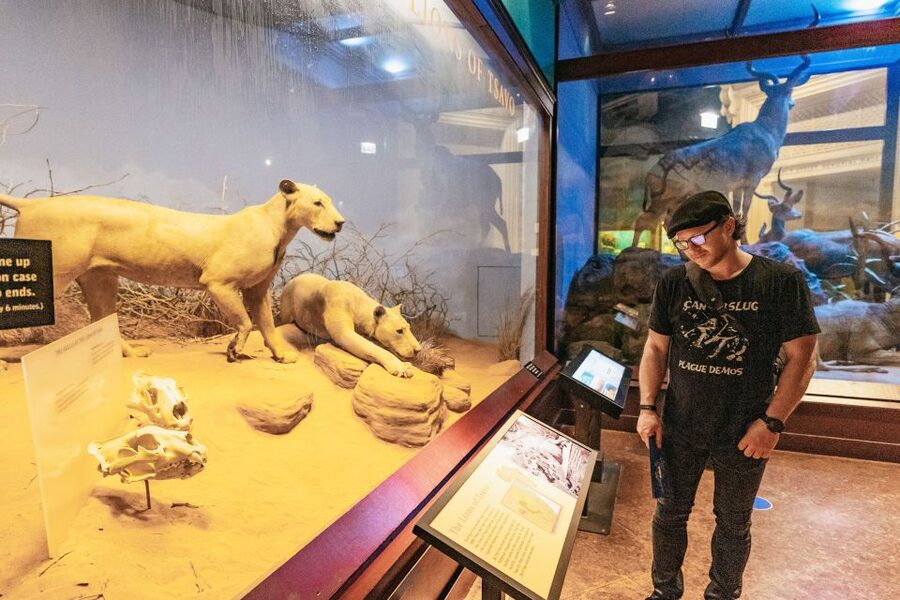 Chicago: Field Museum of Natural History Ticket or VIP Tour - Is the price good value?