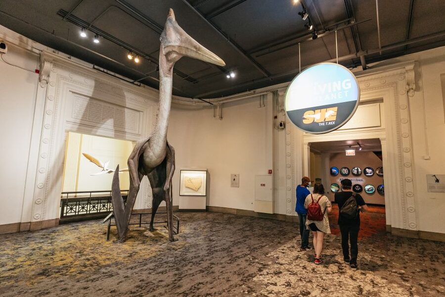 Chicago: Field Museum of Natural History Ticket or VIP Tour - Who should book this Field Museum experience?