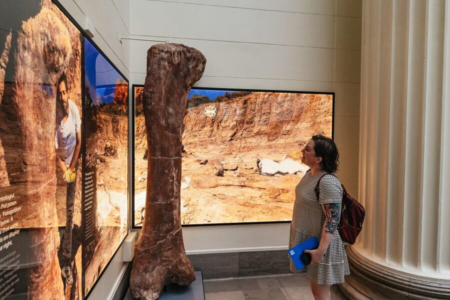 Chicago: Field Museum of Natural History Ticket or VIP Tour - Four ways to plan your museum day