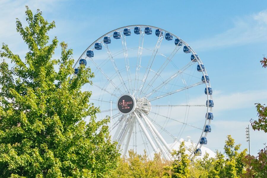 Chicago: Hop-on Hop-off Sightseeing Tour by Open-top Bus - River North and the downtown return