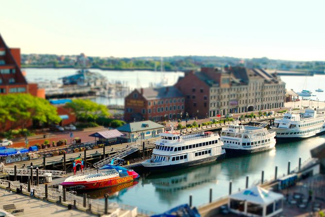 City Cruises Boston 90-Minute Harbor Sunset Sightseeing Cruise - Who Will Enjoy This Cruise Most?