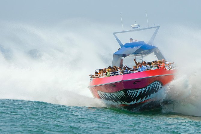 City Cruises Boston Codzilla High-Speed Thrill Boat Ride - What makes Codzilla different