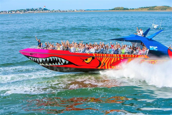 City Cruises Boston Codzilla High-Speed Thrill Boat Ride - From Long Wharf to full throttle