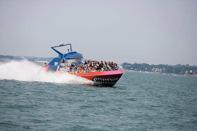 City Cruises Boston Codzilla High-Speed Thrill Boat Ride - Weather, cancellations, and practical planning