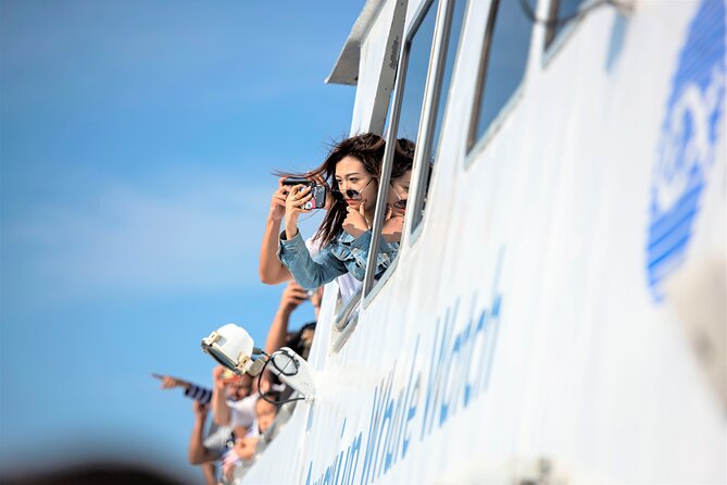 City Cruises Boston Whale Watching Cruise by High-Speed Boat - The boat, seating, and crowd question