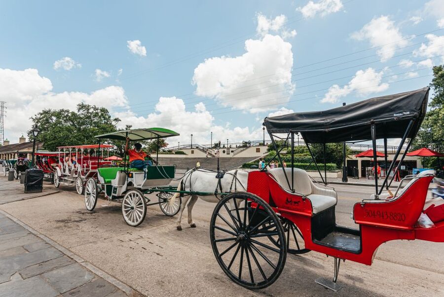 City Sightseeing New Orleans HOHO Bus Tour & Bookable Extras - Who should book this New Orleans bus tour?