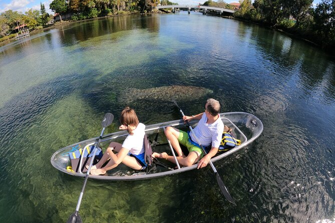 Clear Kayak Manatee Ecotour of Crystal River - Seeing Crystal River through a clear kayak