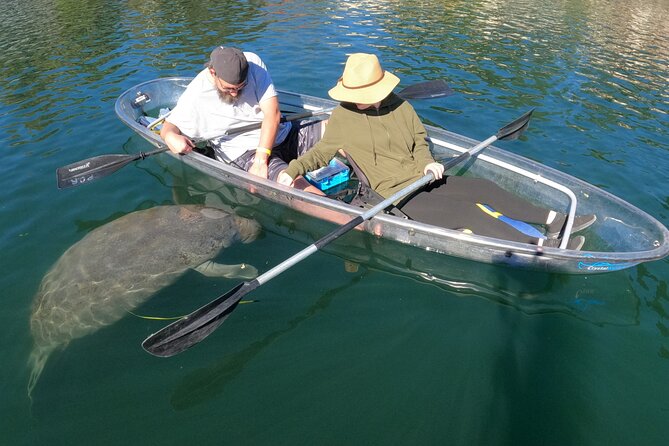 Clear Kayak Manatee Ecotour of Crystal River - Cost, extra fees, and what you receive for $79