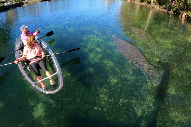 Clear Kayak Manatee Ecotour of Crystal River - Arrival, parking, and the first half hour