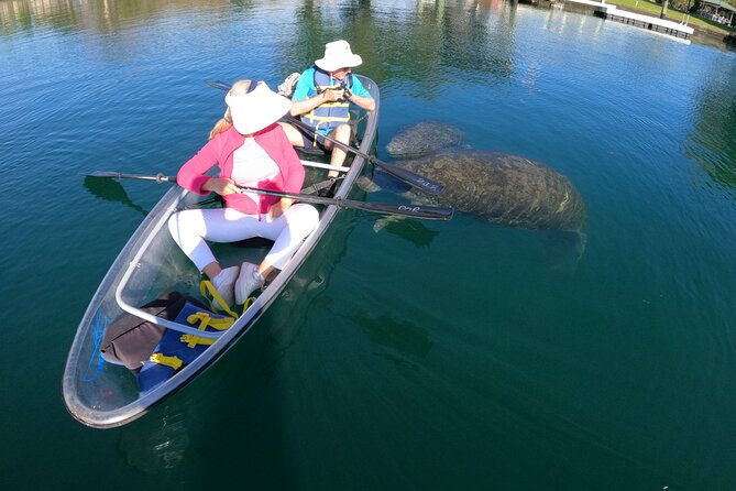 Clear Kayak Manatee Ecotour of Crystal River - Who will enjoy this paddle most