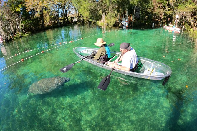 Clear Kayak Manatee Ecotour of Crystal River - Following the manatees around Crystal River