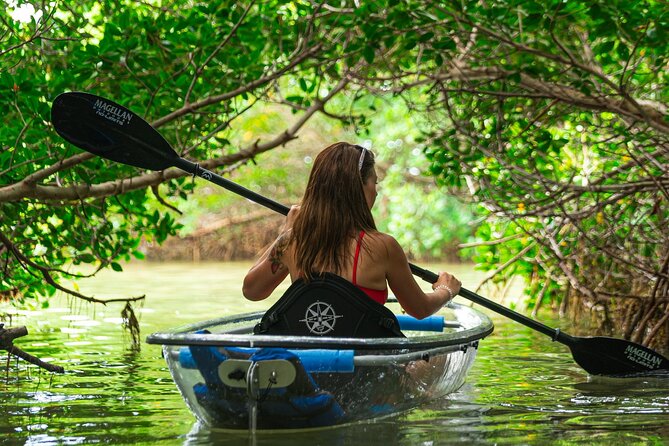 Clear Kayak Tour of Shell Key Preserve and Tampa Bay Area - Paddling through the Tampa Bay shallows