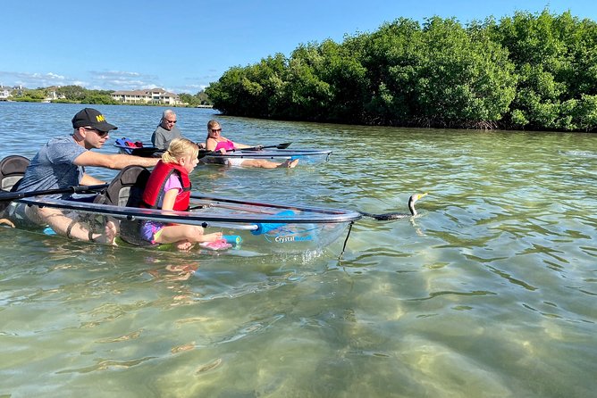 Clear Kayak Tour of Shell Key Preserve and Tampa Bay Area - Taking a break on Shell Key