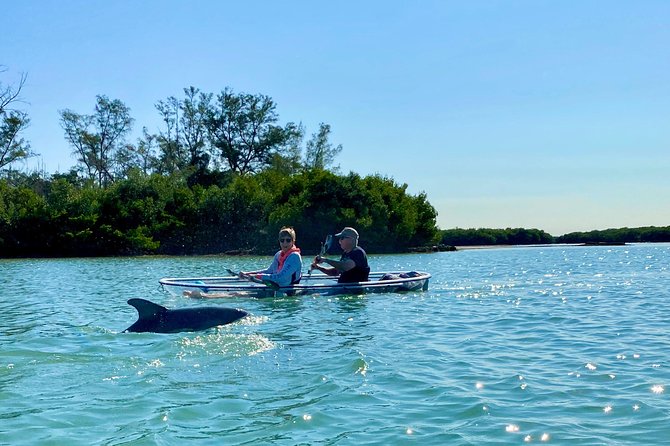 Clear Kayak Tour of Shell Key Preserve and Tampa Bay Area - What two hours feels like on the water