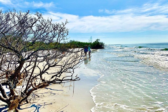 Clear Kayak Tour of Shell Key Preserve and Tampa Bay Area - Is the clear kayak worth $79?