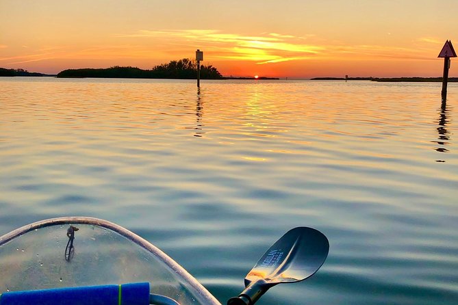 Clear Kayak Tour of Shell Key Preserve and Tampa Bay Area - Choosing the best time and preparing for weather