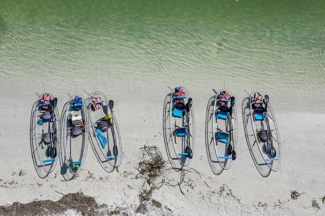 Clear Kayak Tour of Shell Key Preserve and Tampa Bay Area - Families, children, and tandem kayaks