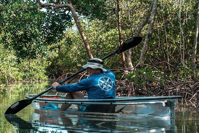 Clear Kayak Tours in Fort Pierce - Quick points to know before you book