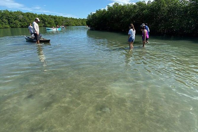 Clear Kayak Tours in Fort Pierce - Mangrove tunnels and the backcountry view