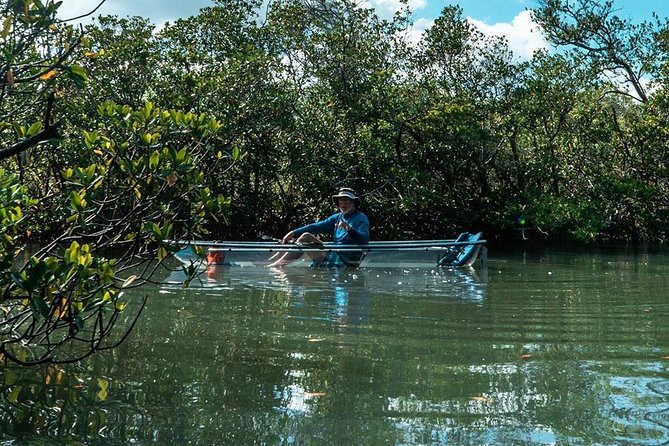 Clear Kayak Tours in Fort Pierce - Tandem kayaks, fitness, and comfort