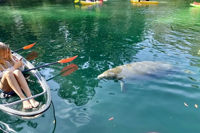 Clear Kayak Tours in Weeki Wachee - The guides are a major part of the value