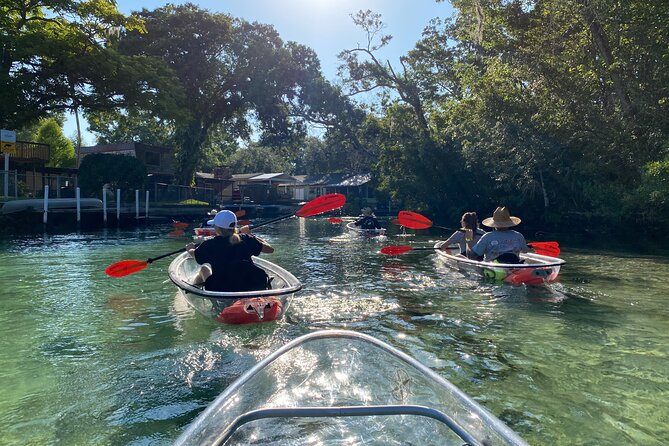 Clear Kayak Tours in Weeki Wachee - How hard is the paddling?