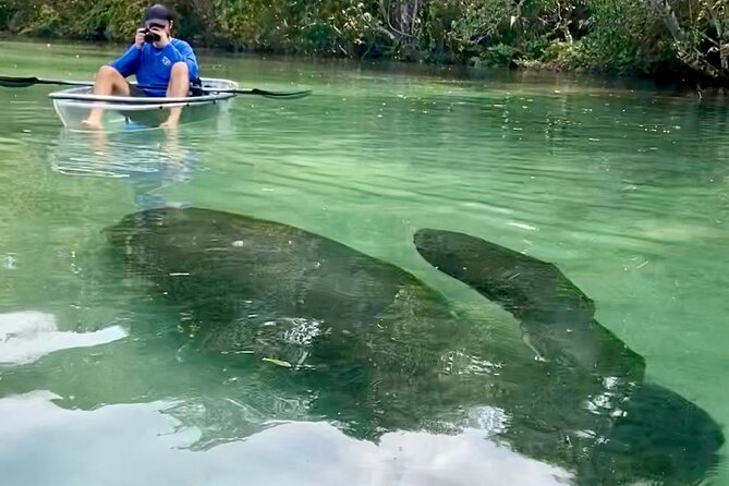 Clear Kayak Tours in Weeki Wachee - Is $79 a fair price?