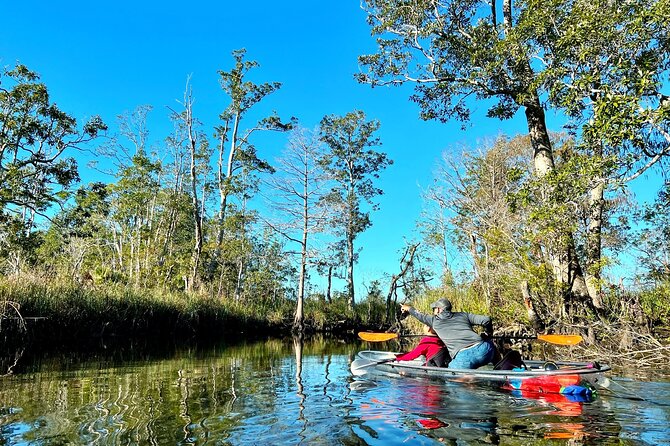Clear Kayak Tours in Weeki Wachee - Tips for making the outing better