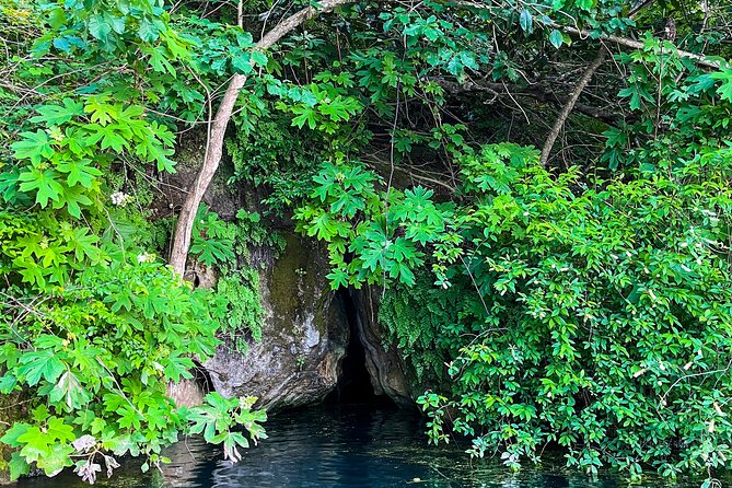 Clear Kayaking Eco Adventure Tour in Marianna - Clear kayaks reveal a second world below