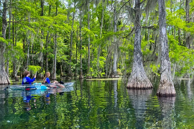 Clear Kayaking Eco Adventure Tour in Marianna - Florida Caverns and Blue Springs area context