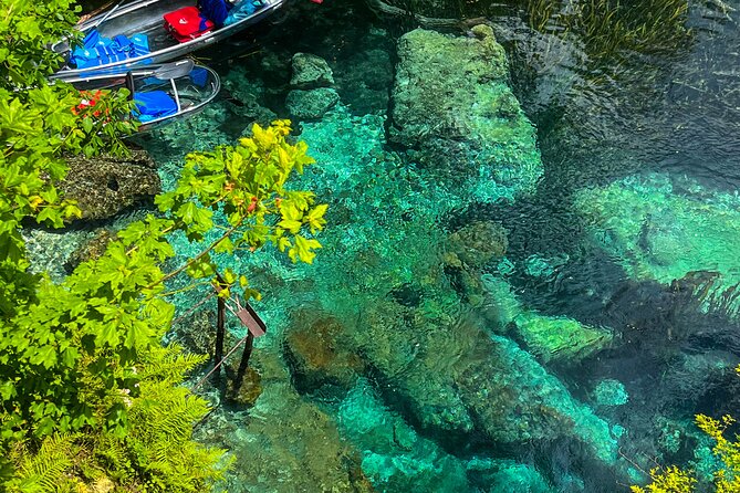 Clear Kayaking Eco Adventure Tour in Marianna - Paddling through limestone and cypress country