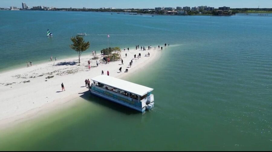 Clearwater Beach: Dolphin & Island Sandbar Cruise - The Gulf ride and the search for dolphins