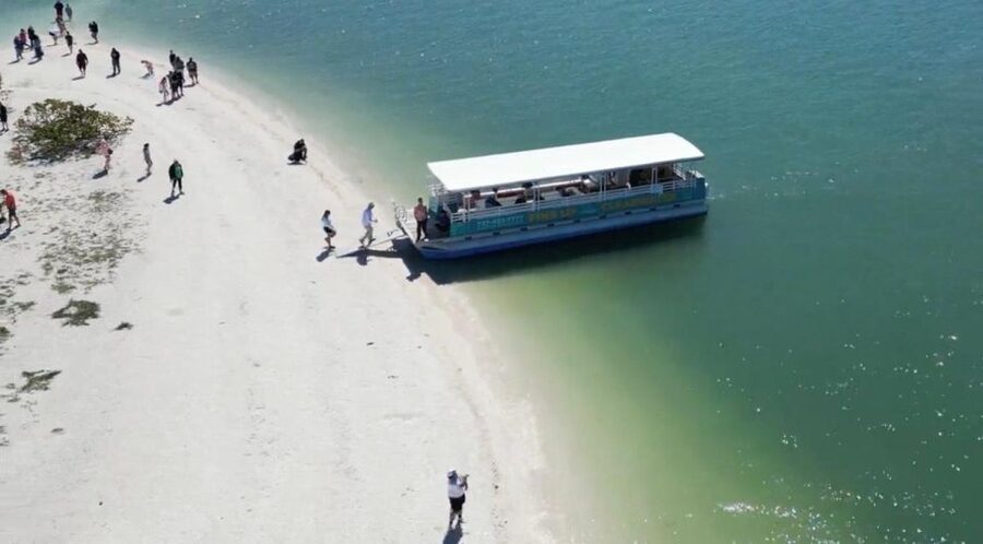 Clearwater Beach: Dolphin & Island Sandbar Cruise - One-Tree Island and the short swim stop