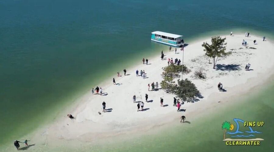 Clearwater Beach: Dolphin & Island Sandbar Cruise - Shade, coolers, and family-friendly details