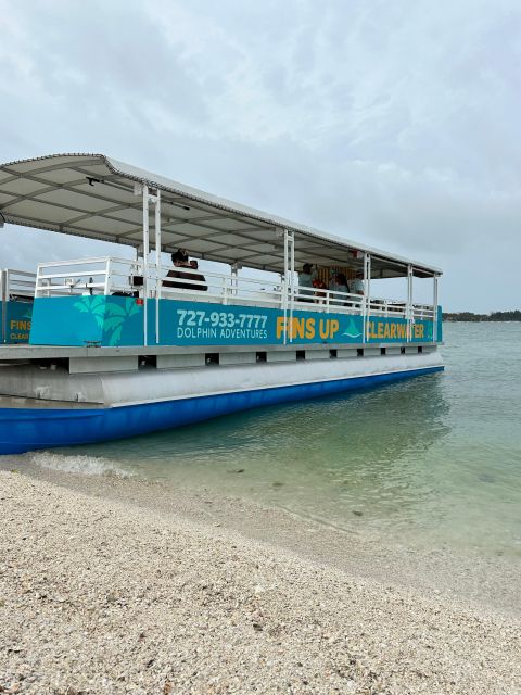 Clearwater Beach: Dolphin & Island Sandbar Cruise - What the guides add to the trip